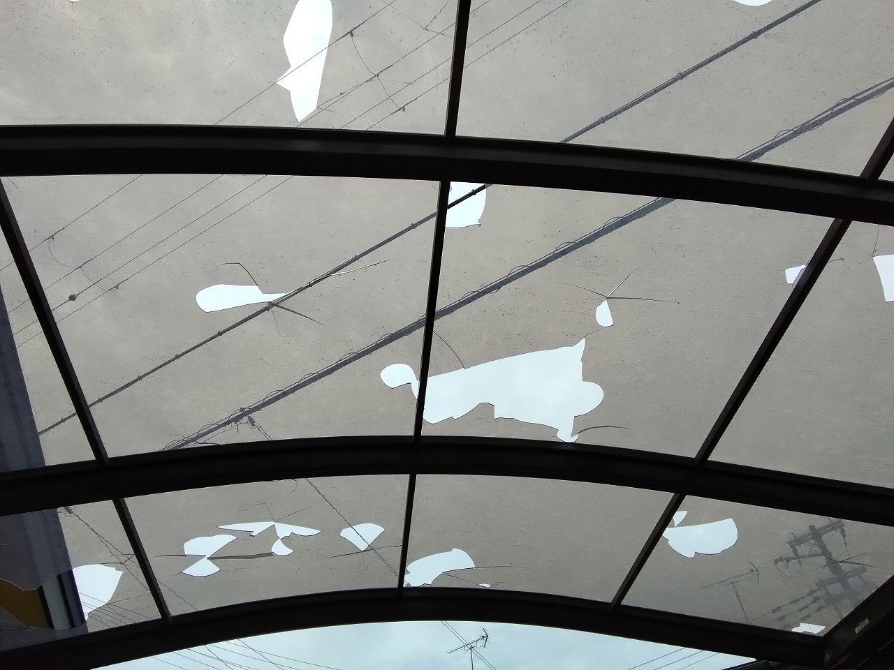 加古郡播磨町　カーポート屋根　ポリカ穴あき